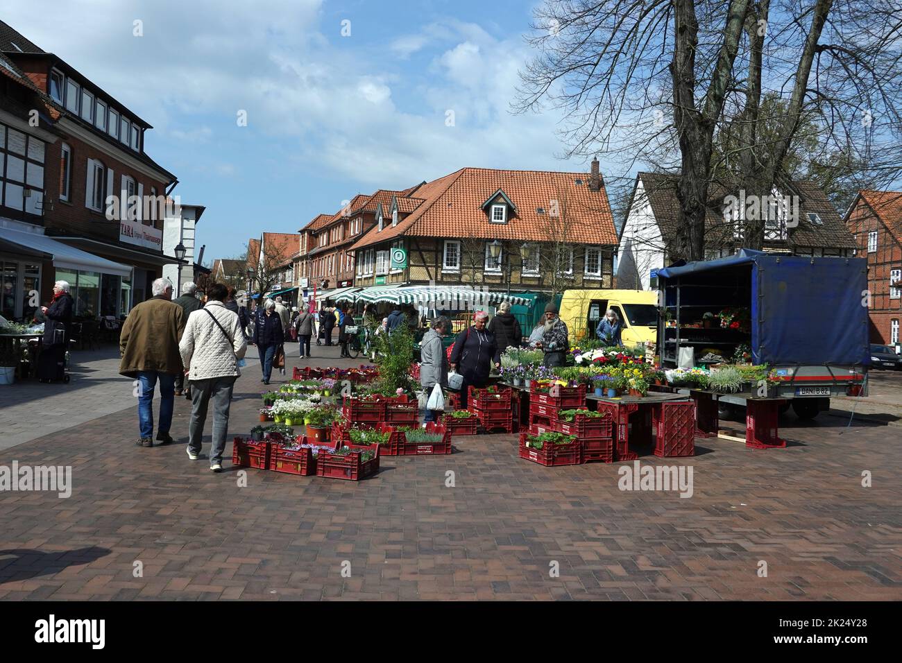 Wochenmarkt auf dem Kirchplatz, Niedersachsen, Deutschland, Bad Bevensen Stock Photo