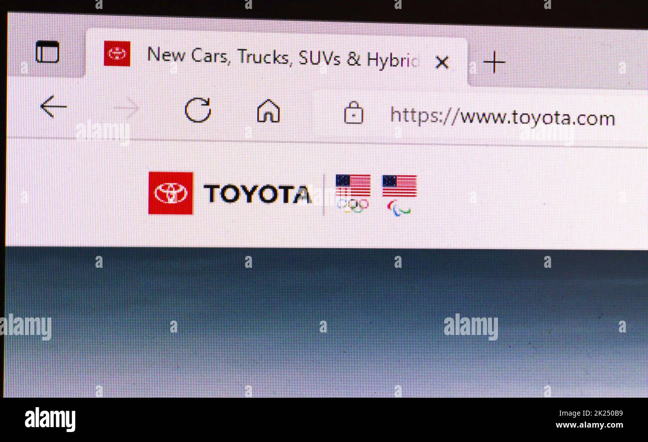 Hamburg, Germany - 06. May 2022: Close up of the homepage website of ...