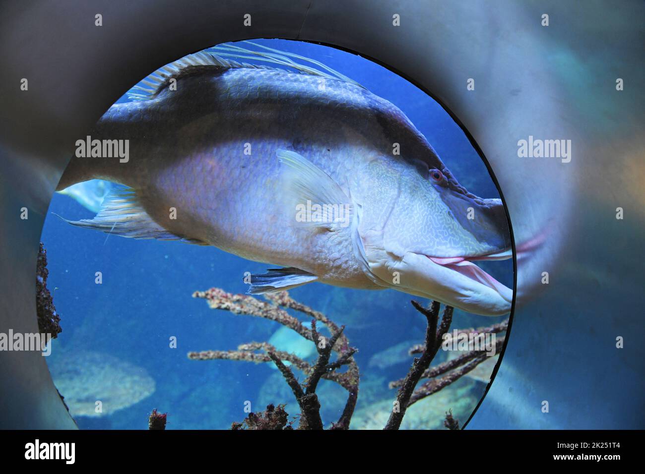 Haus des Meeres in Wien, Österreich, Europa House of the Sea in