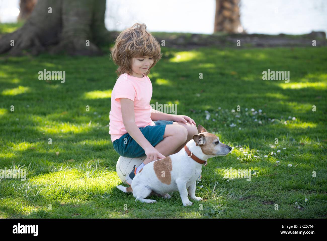 Kid caress dog. Child boy with dog walking outdoor. Kid playing with puppy. Children with pet friend. Stock Photo
