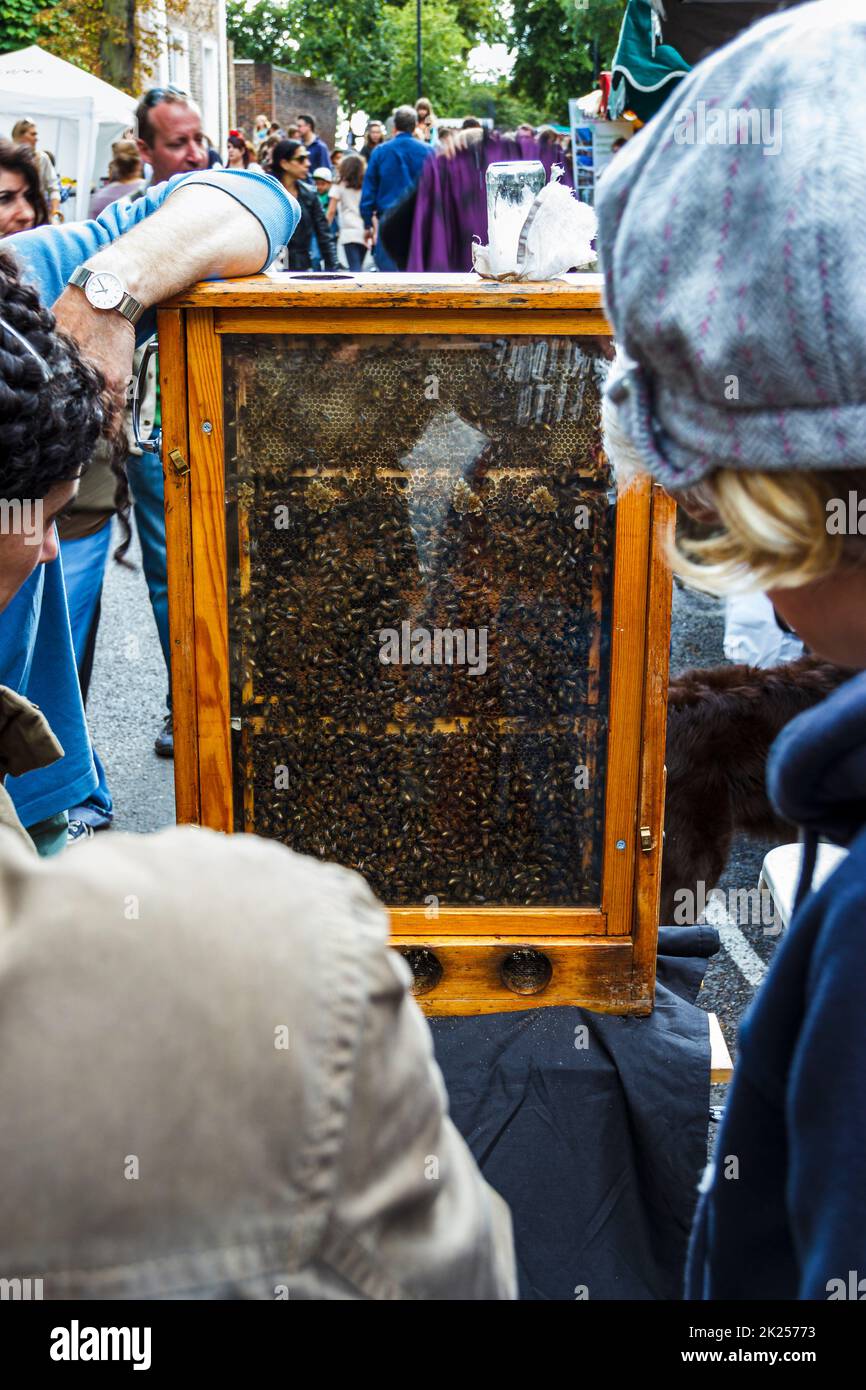 A display of beekeeping at the Fair in The Square, Highgate Village, London, UK Stock Photo