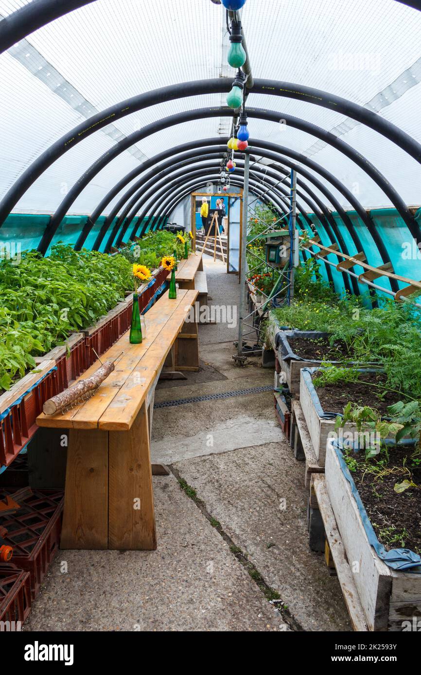 A polytunnel greenhouse in the Skip Garden, a community resource