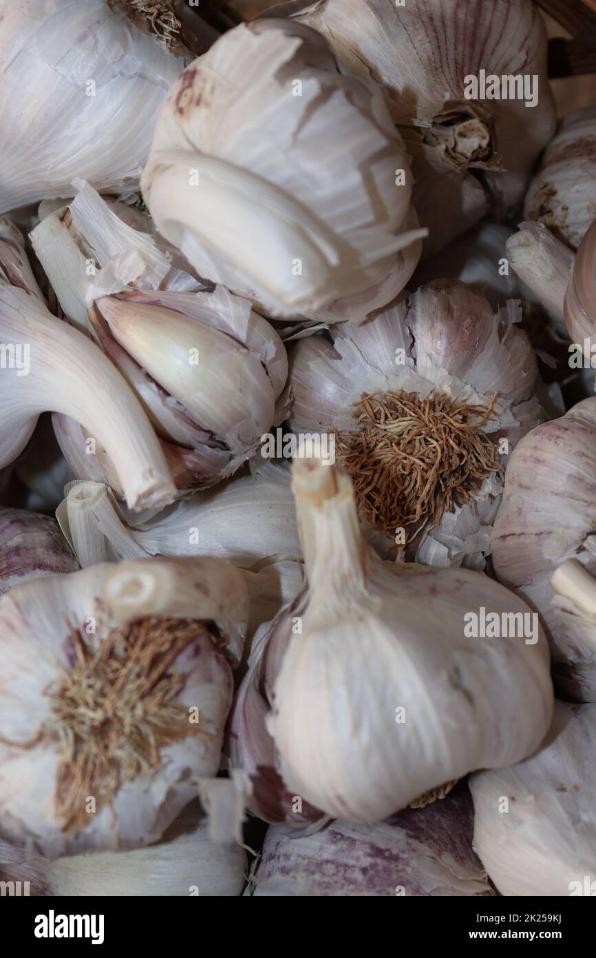 A closer look at some garlic cloves Stock Photo