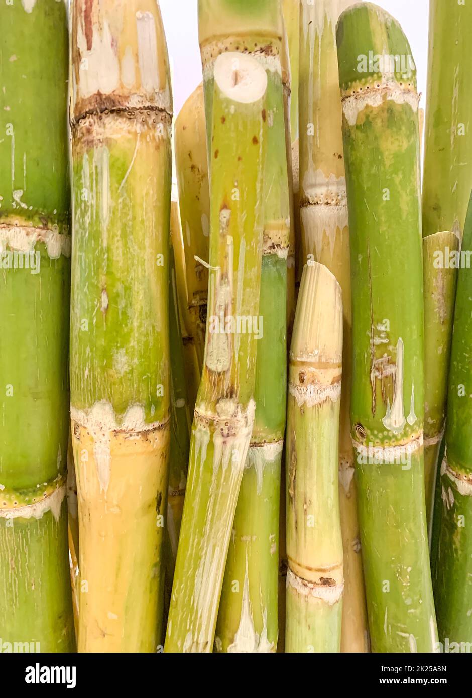 Sugar cane stem crop hi-res stock photography and images - Alamy