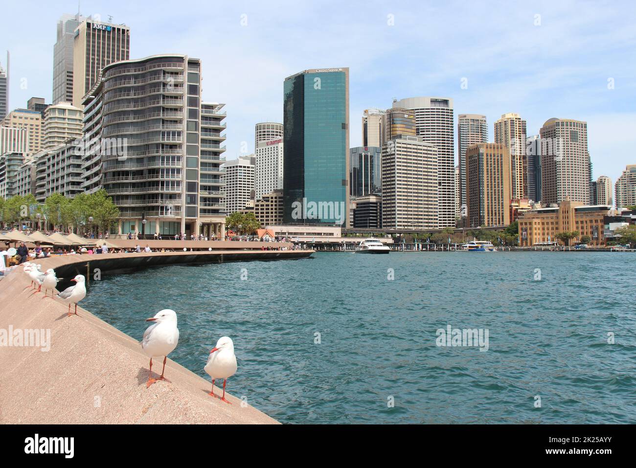 circular quay and bay in sydney (australia Stock Photo Alamy