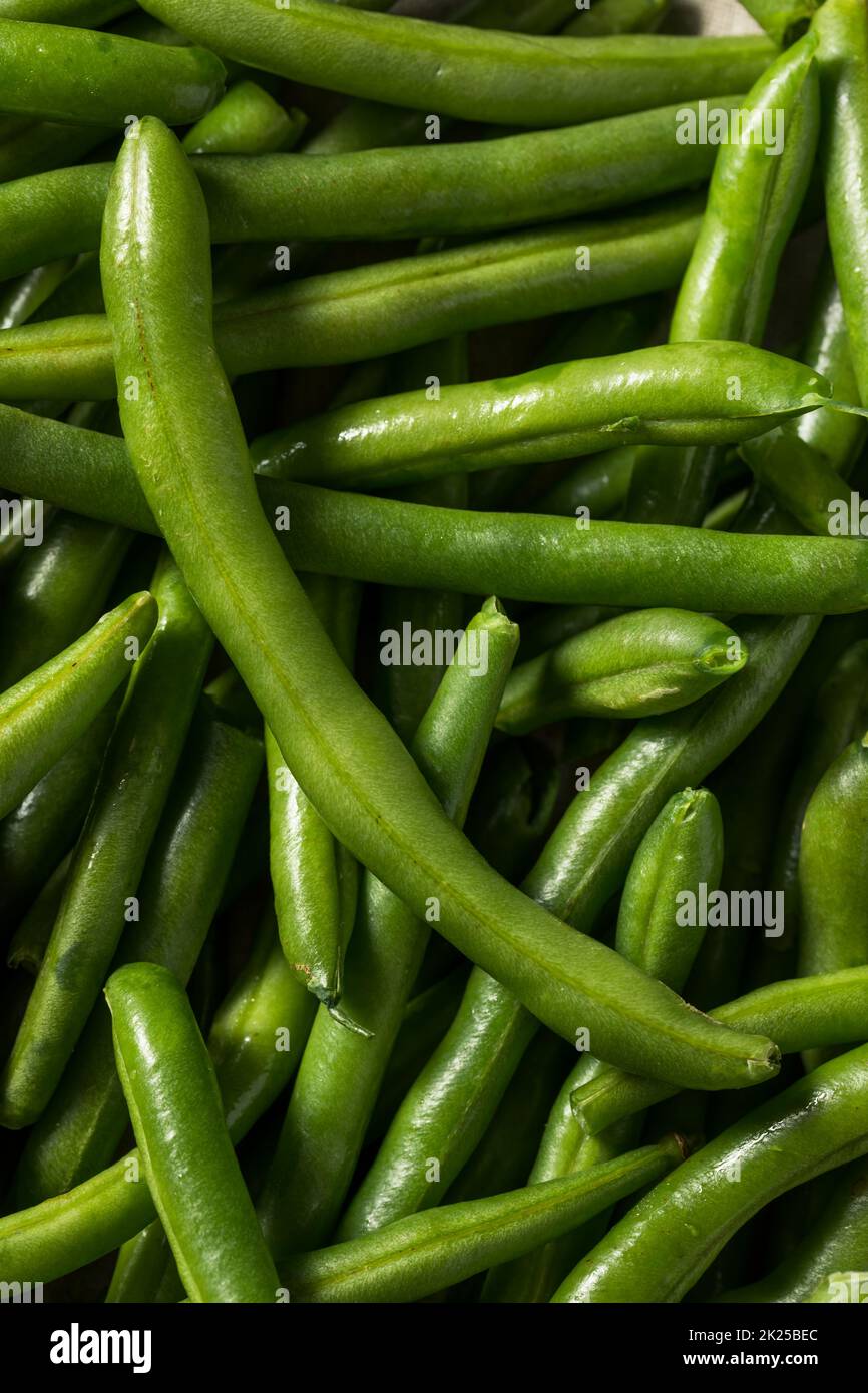 Raw Green Organic String Beans in a Bunch Stock Photo