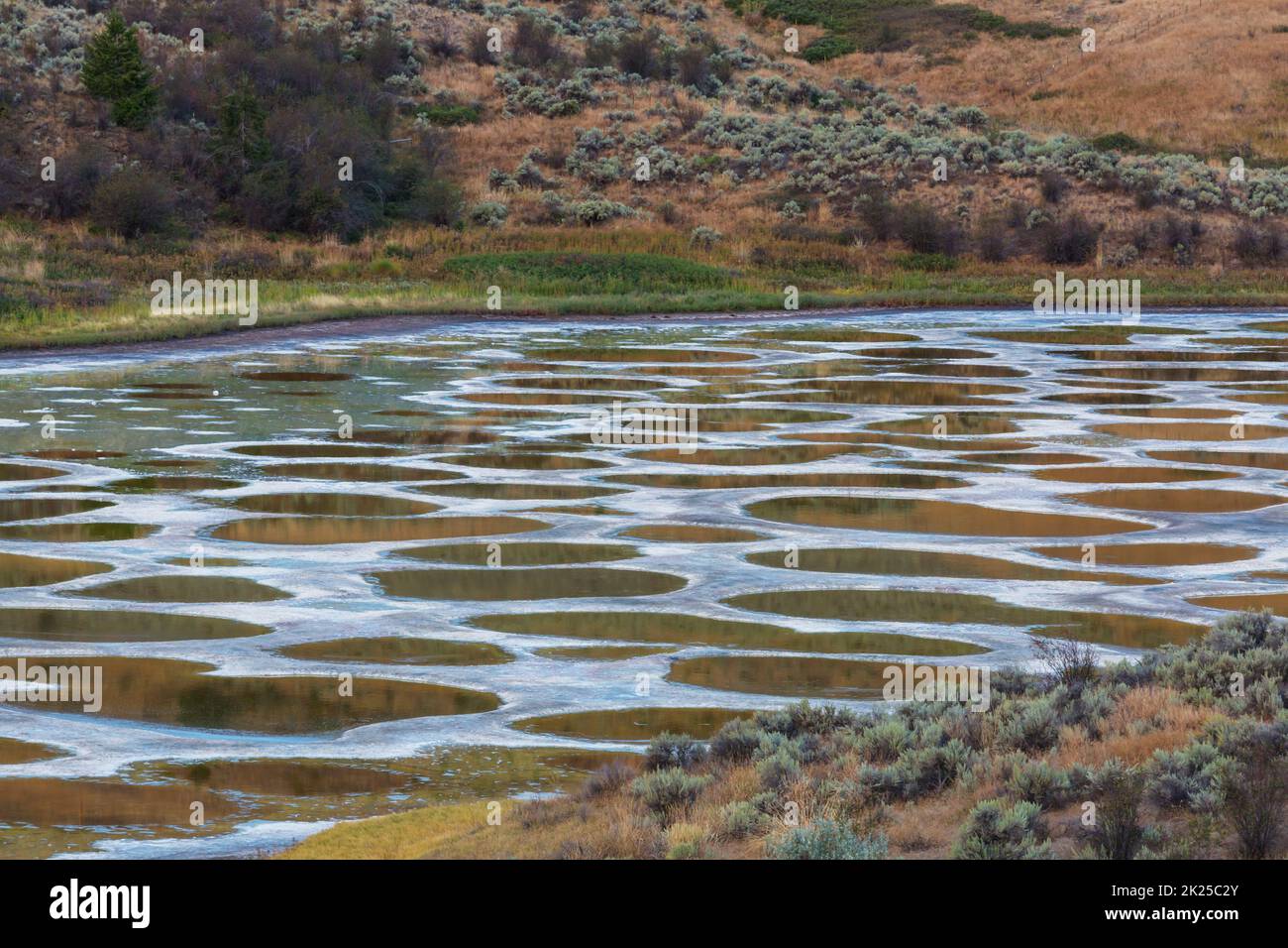 Spotted Lake in British Columbia, Canada Stock Photo