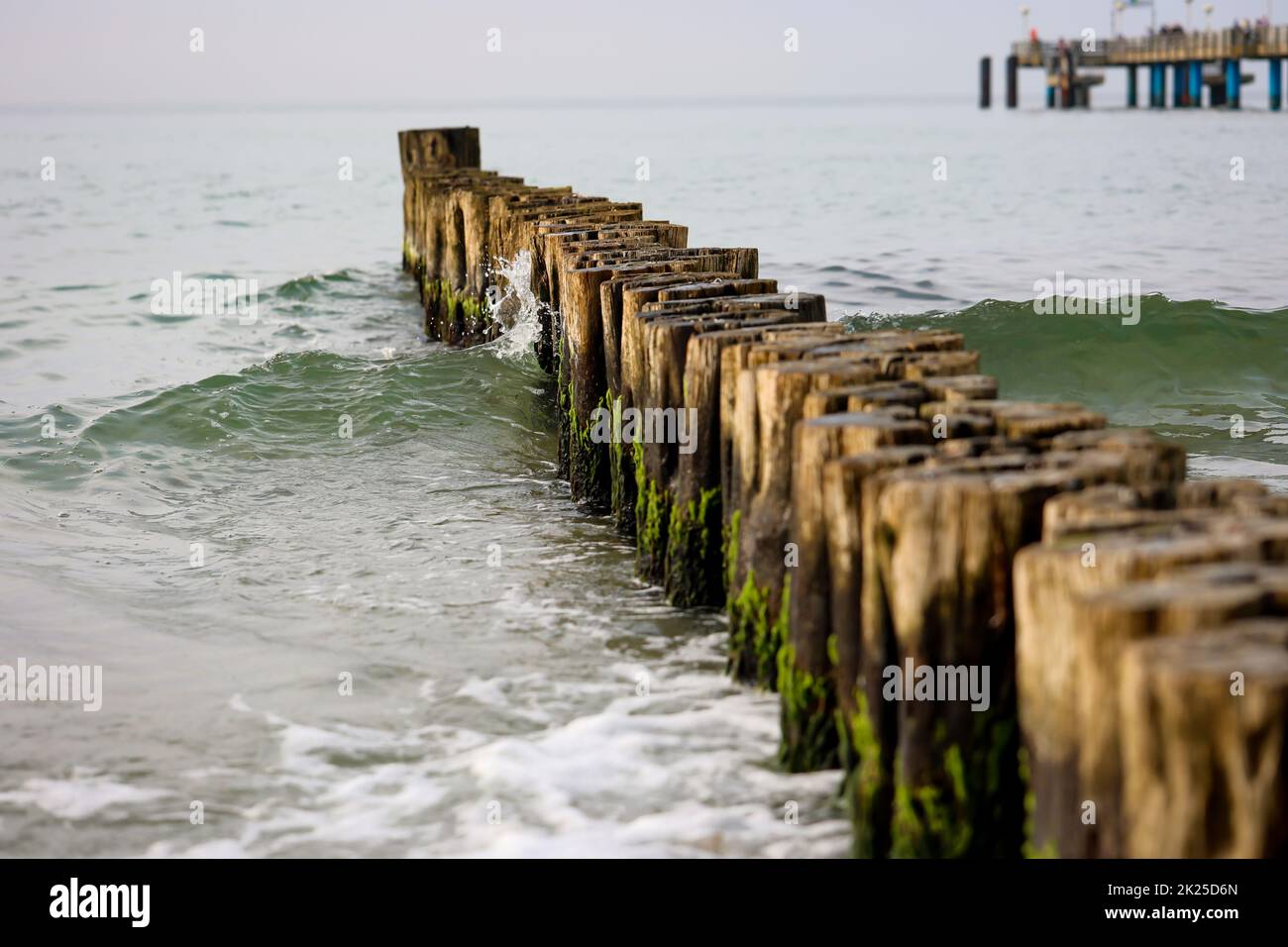 Groynes as coastal protection on the beach of the Baltic Sea. Stock Photo