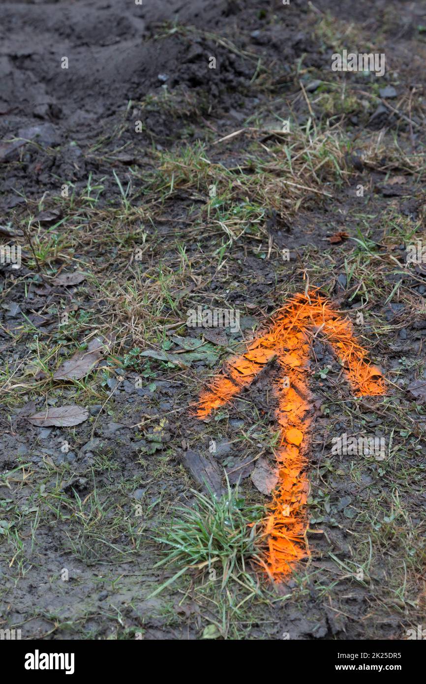 Sign on the forest floor/ orange arrow Stock Photo - Alamy