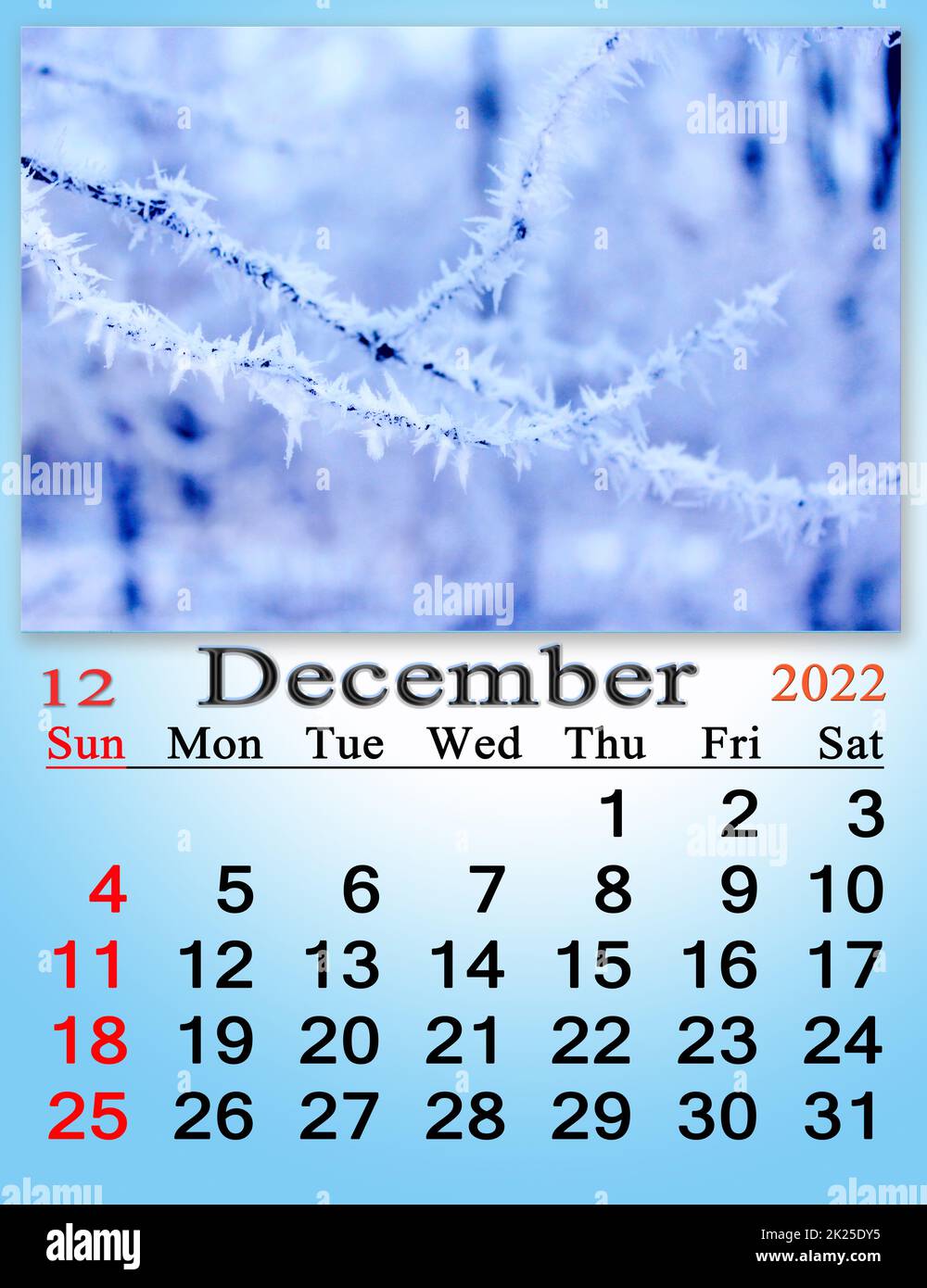 calendar for December 2022 with picture of with tree branch covered with frost Stock Photo