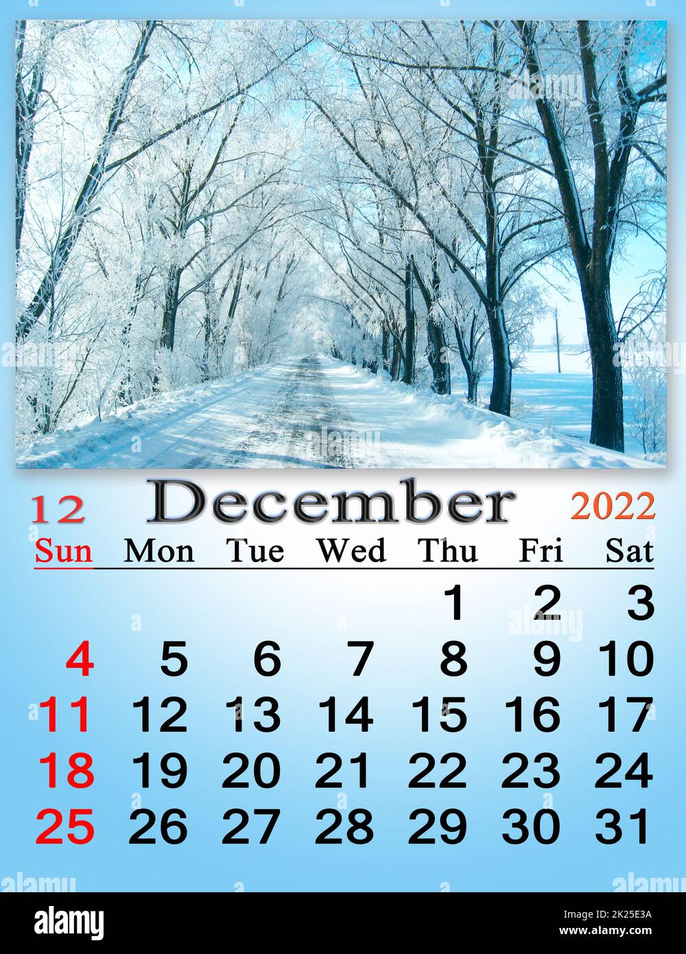 calendar for December 2022 with picture of with pine branch covered with snow Stock Photo
