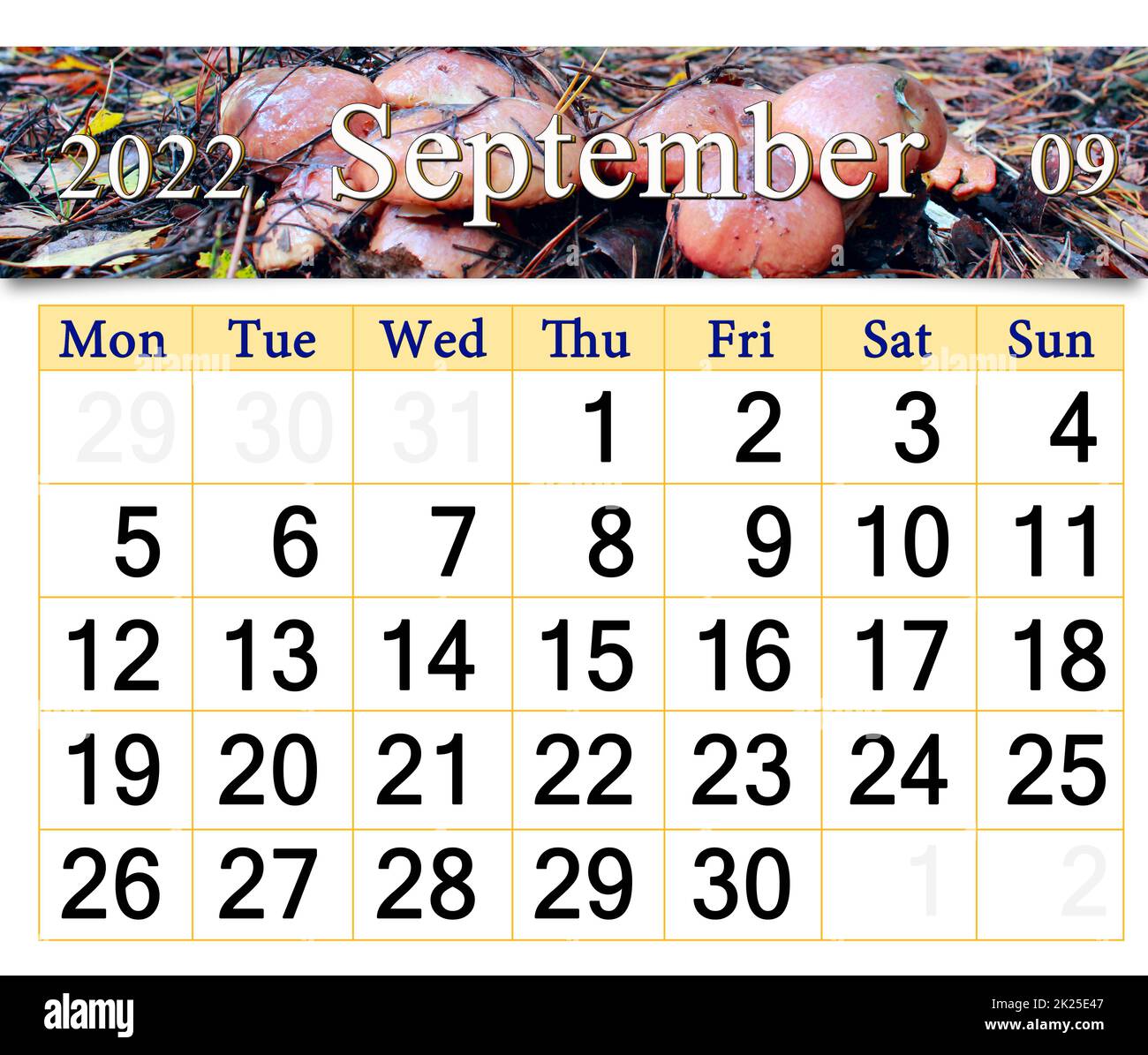 calendar for september 2022 with image of mushroom growing in forest Stock Photo