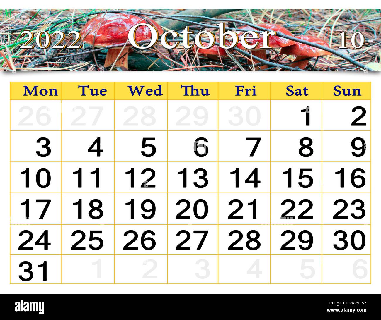 calendar for October 2022 with image of mushroom growing in forest Stock Photo