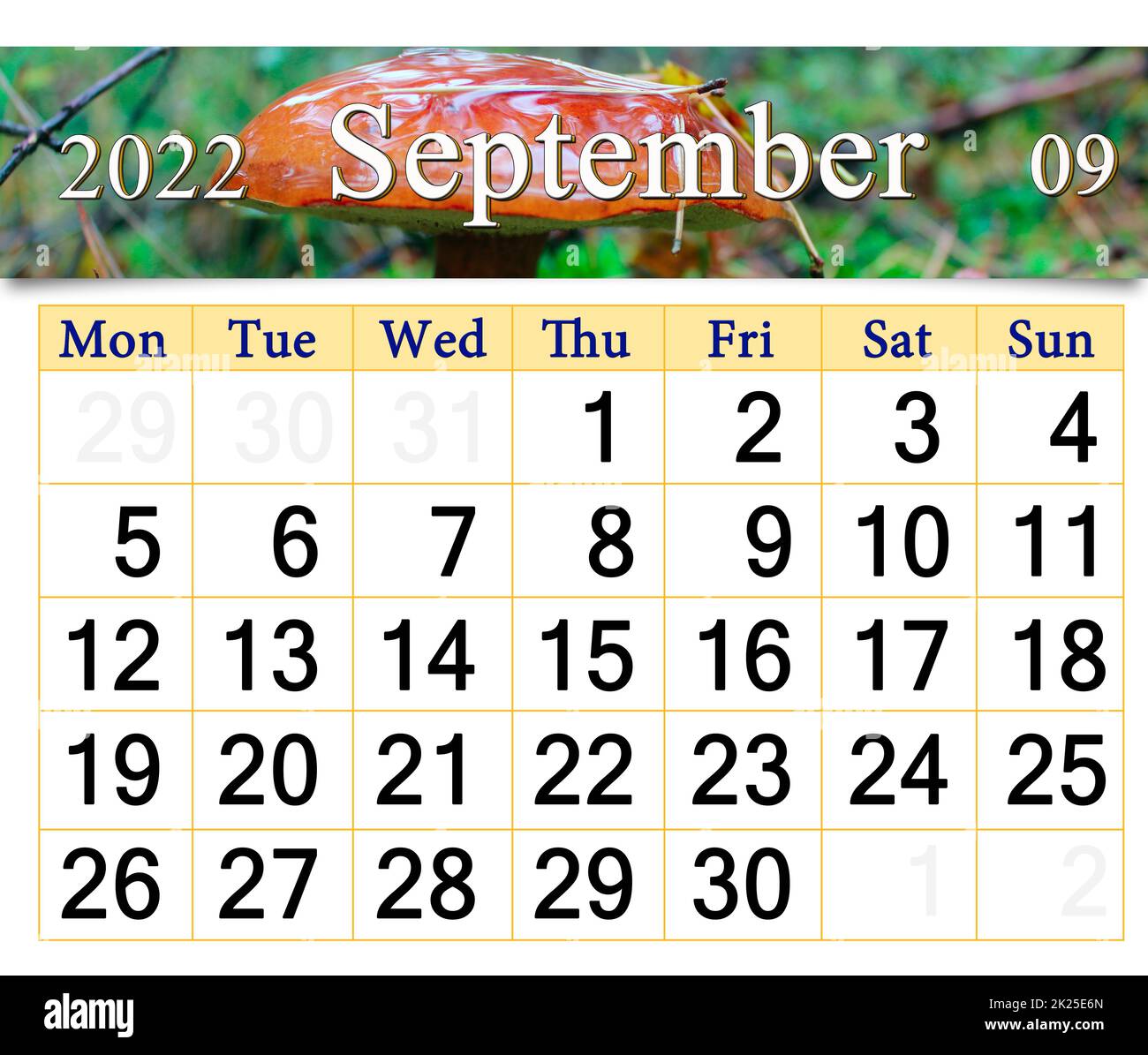 Calendar for september 2022 with image of mushroom growing in forest