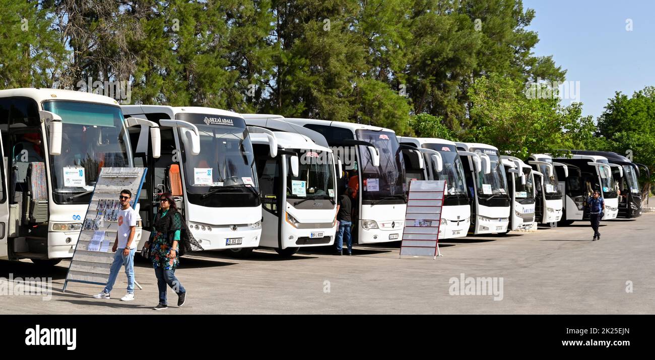 Ephesus, Turkey - May 2022: Row of tourist buses lined up in the car park of the site of the ancient ruins of the city of Ephesus Stock Photo