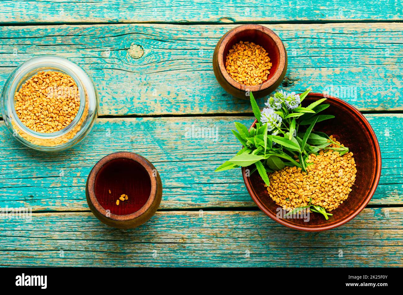 Fenugreek seeds and leaves Stock Photo