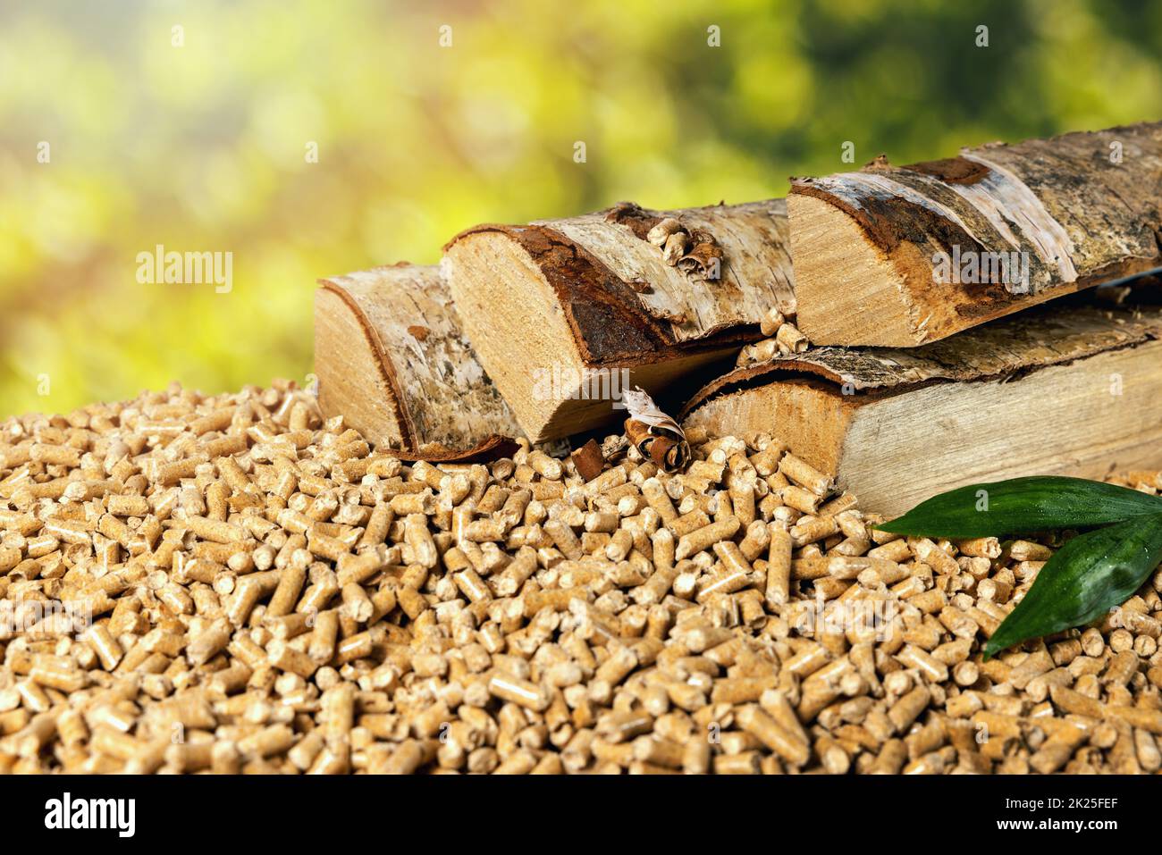 wood pellets with birch firewood. sustainable energy. biomass Stock Photo