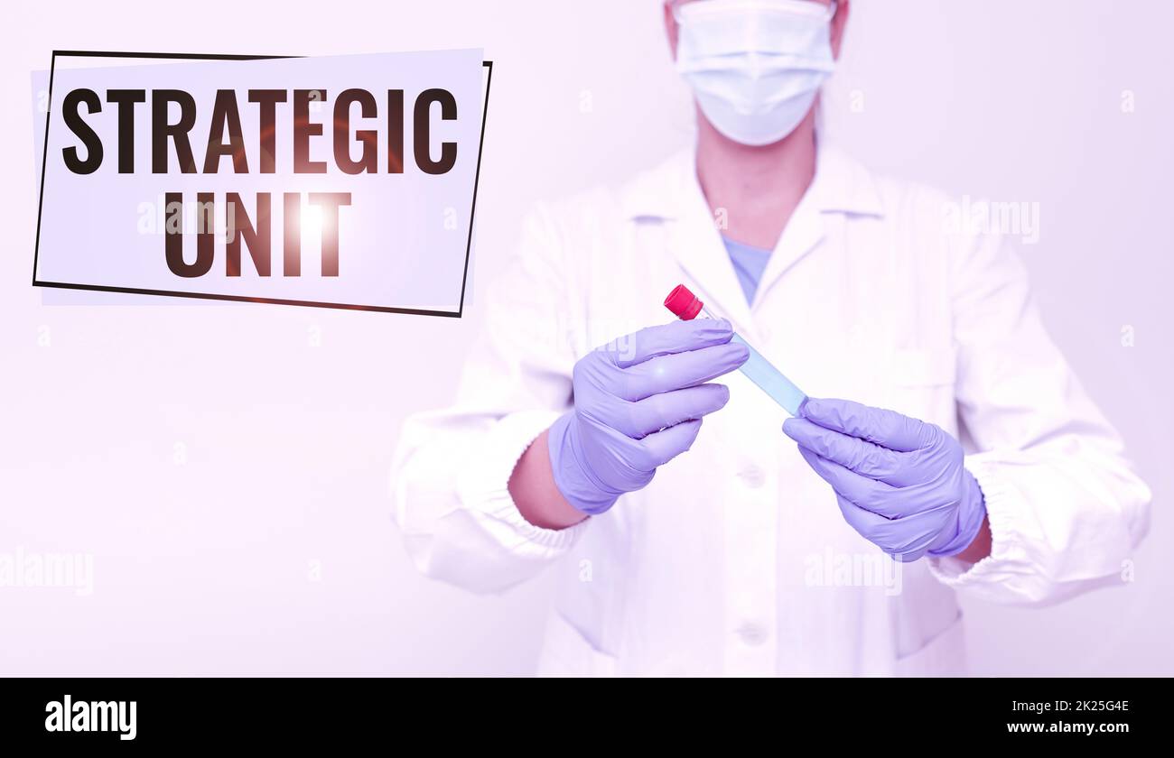 Text caption presenting Strategic Unit. Concept meaning profit center