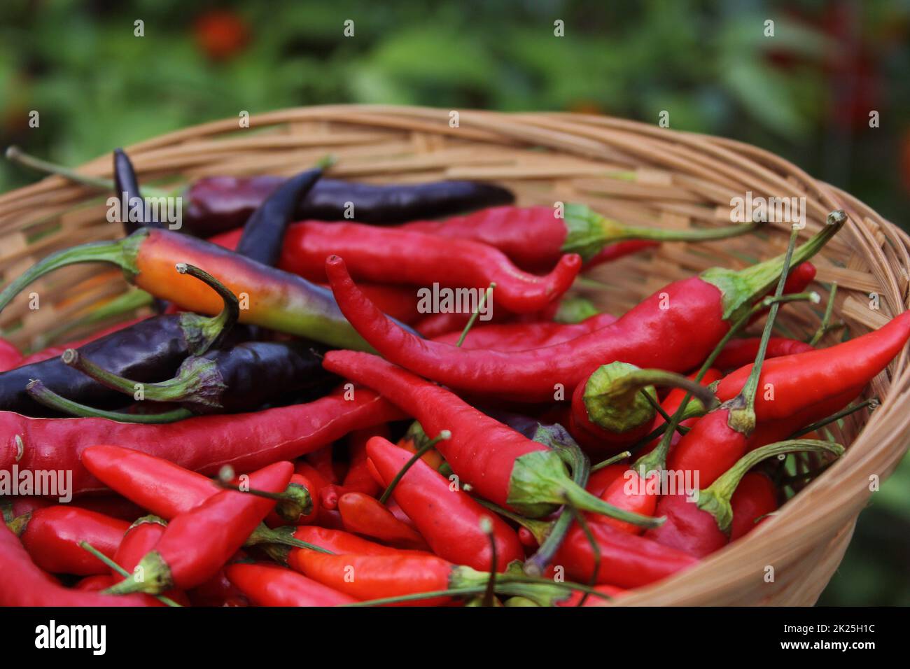 Colorful Basket of Peppers at a Rural Farmers Market Stock Photo - Alamy