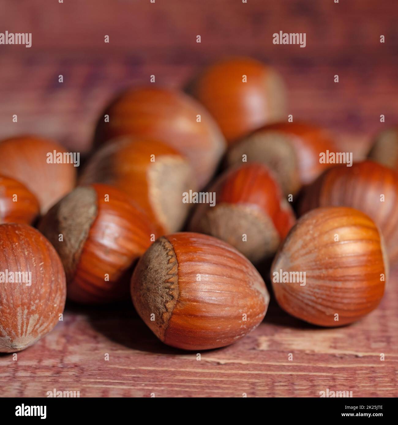 Hazelnuts in a close up Stock Photo