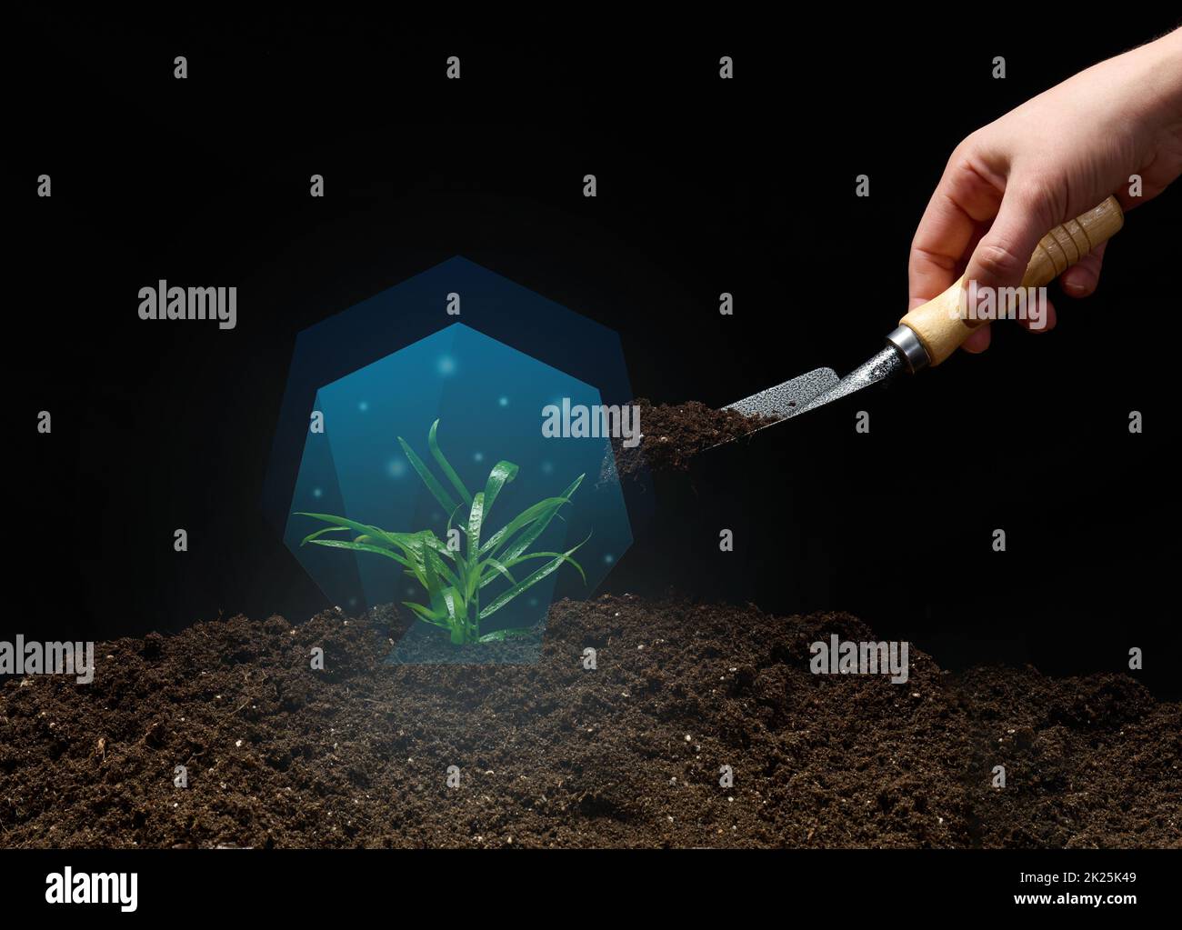 green sprout in a blue vacuum and a female hand with a shovel of earth on a black background. Environmental protection concept Stock Photo