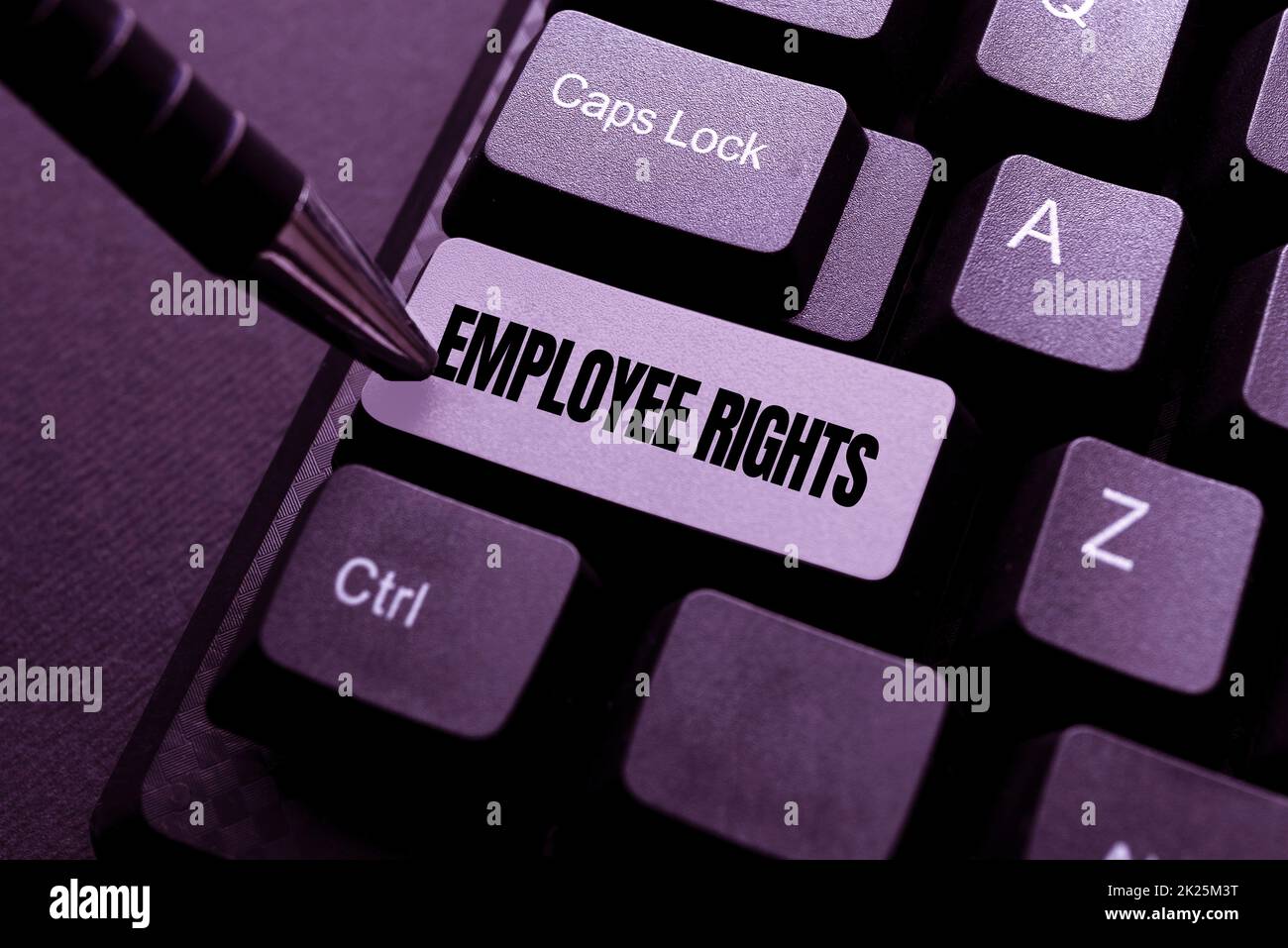 Hand writing sign Employee Rights. Word Written on All employees have ...