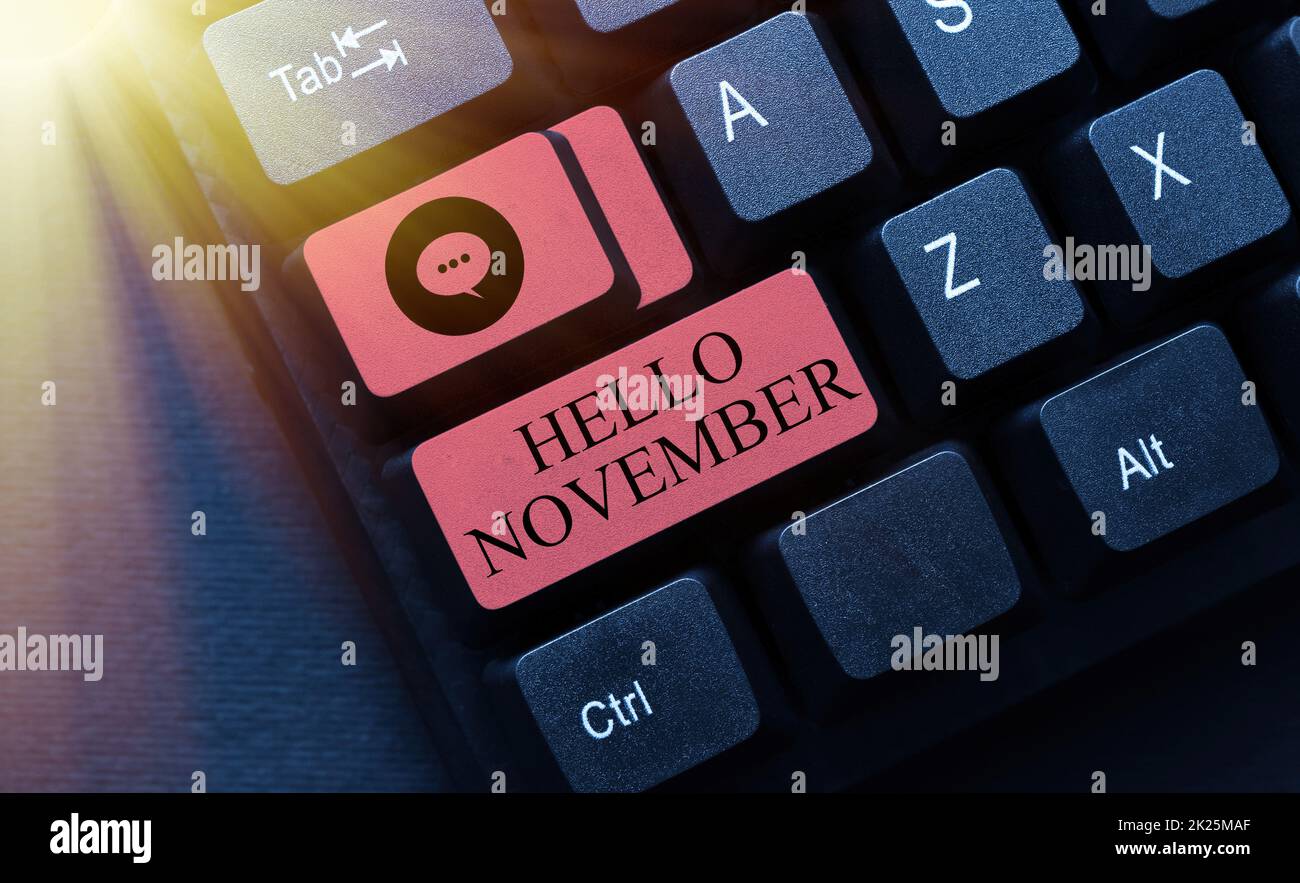 Conceptual display Hello November. Business approach Welcome the eleventh month of the year Month before December Typing Program Code Script, Abstract Downloading New Online Journal Stock Photo