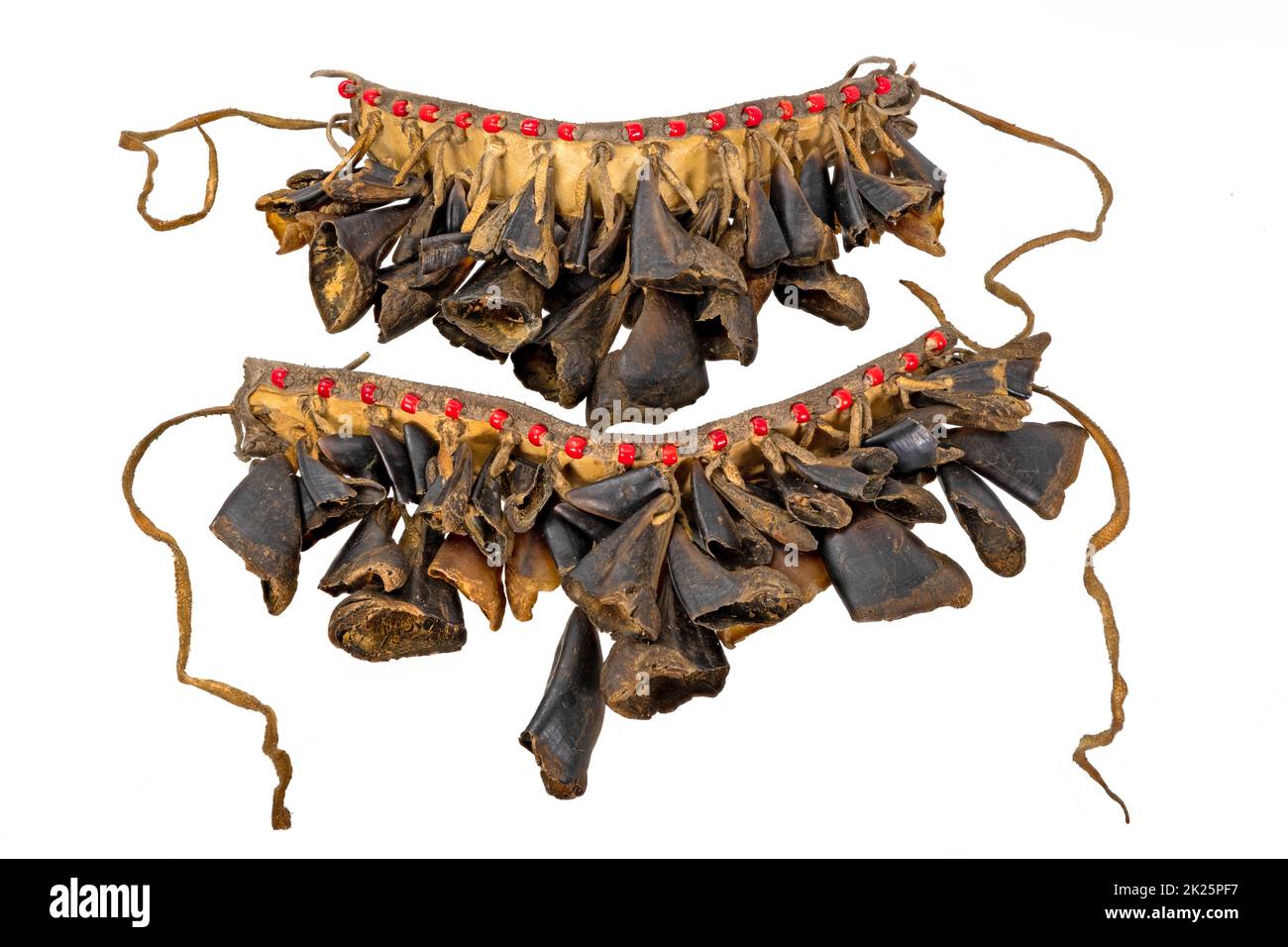 Dance rattle of the North American Indians made of rawhide, deerskin ...