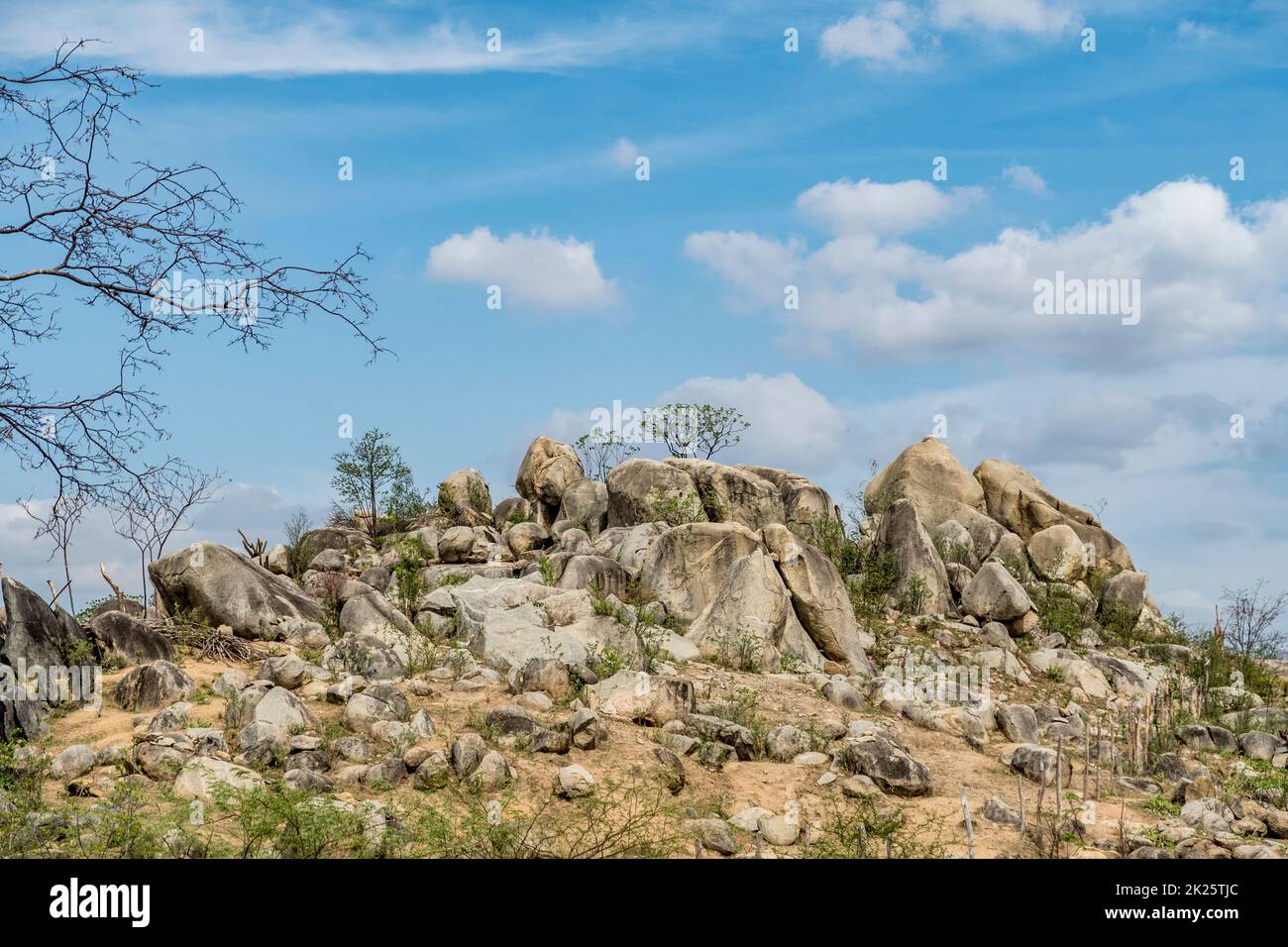 Catinga landscape with big rocks in la Cabrera region, Brazil Stock Photo