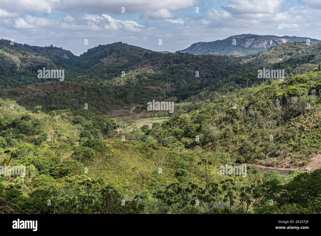 scenic rainforest at Macuca in Brazil under blue sky Stock Photo - Alamy