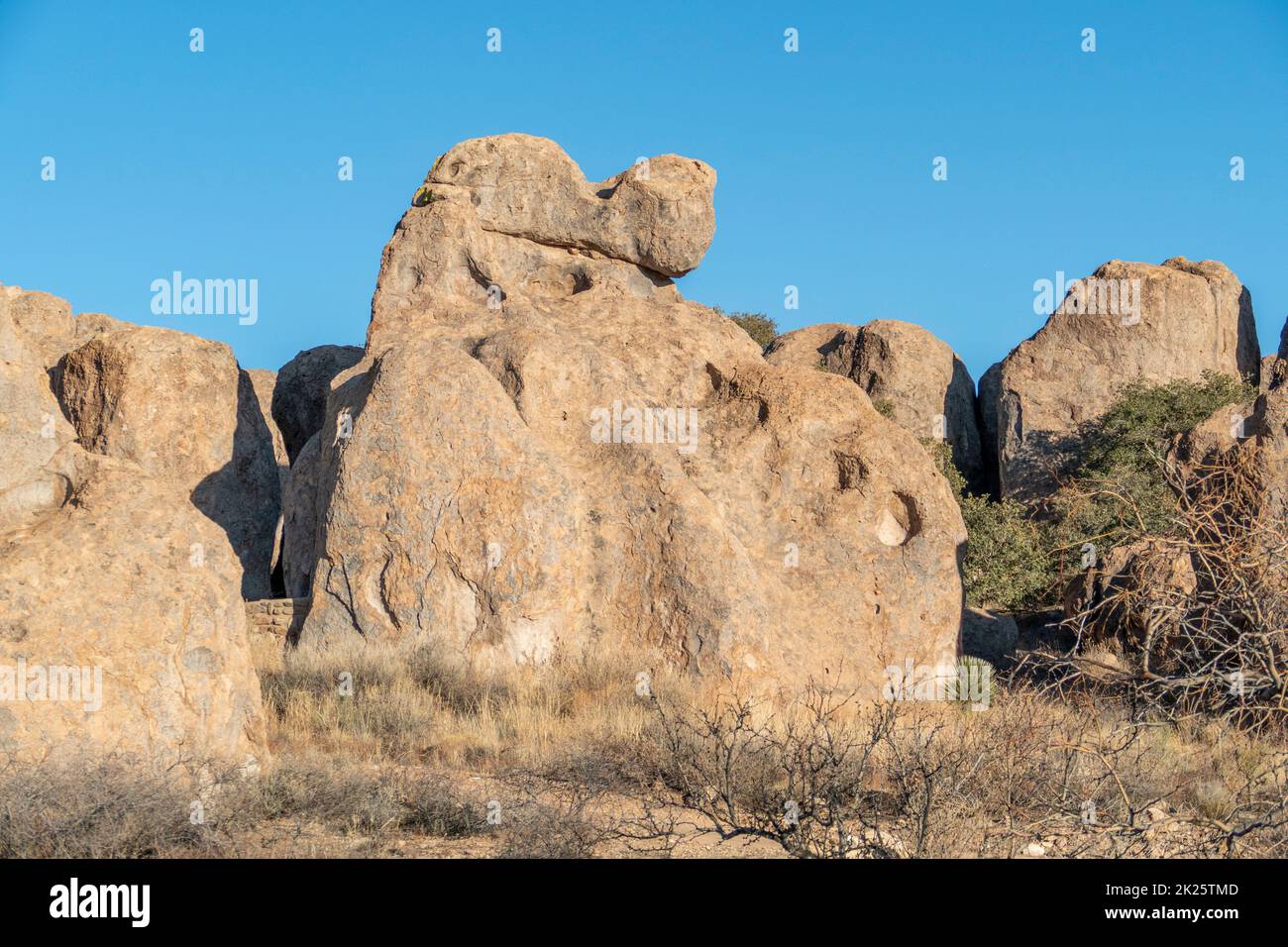 scenic lanscape at  the city of Rocks state park in New Mexico Stock Photo