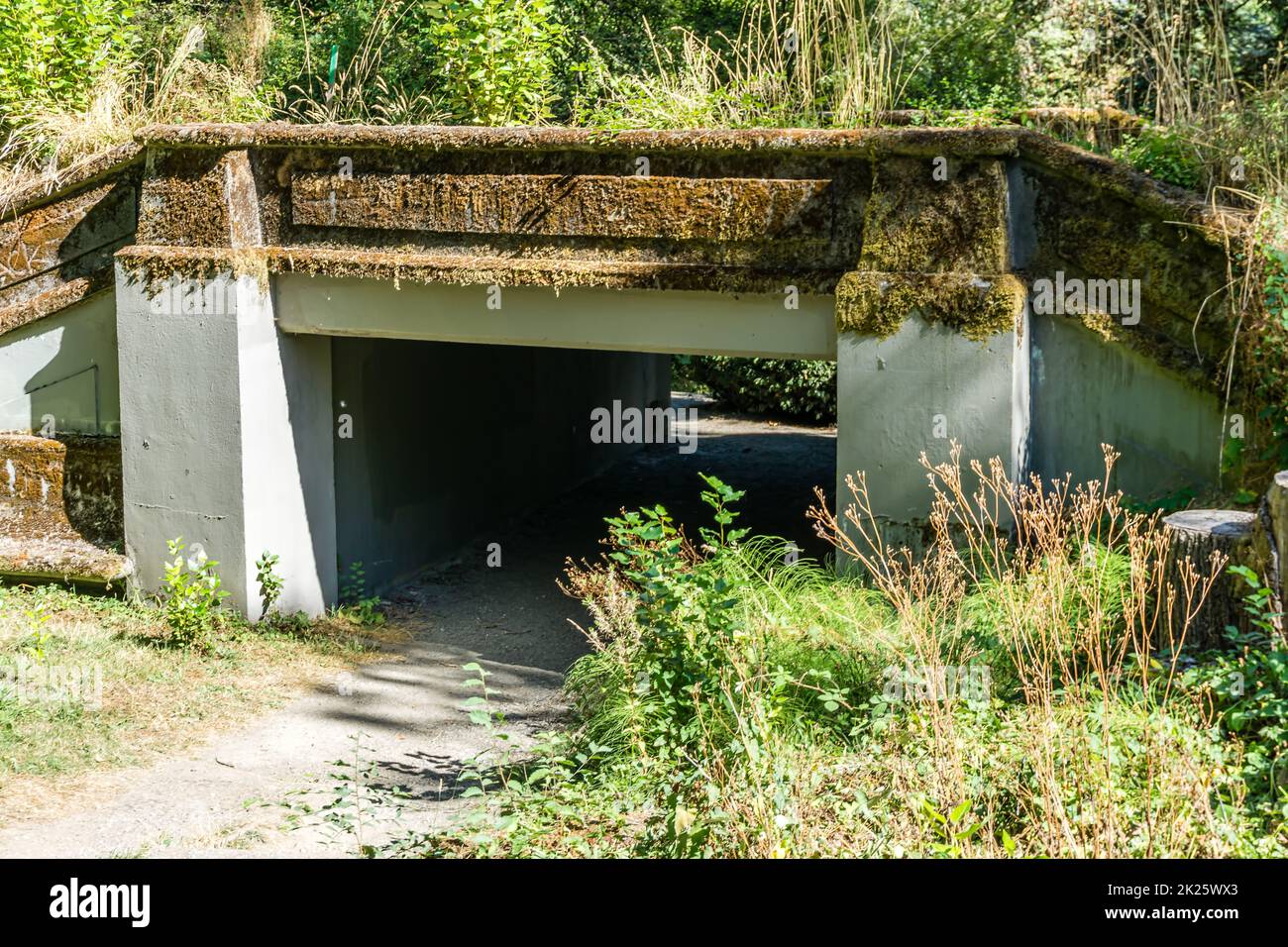 a walking bridge tunnel in Seattle, Washington. Stock Photo