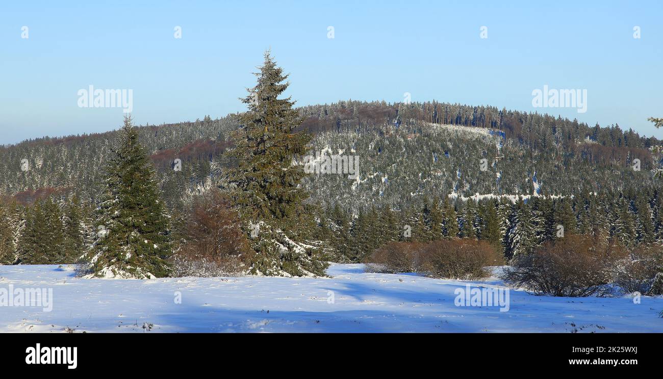 View to the Langenberg mountain in winter, highest mountain of North Rhine-Westphalia, a tourist destination Stock Photo