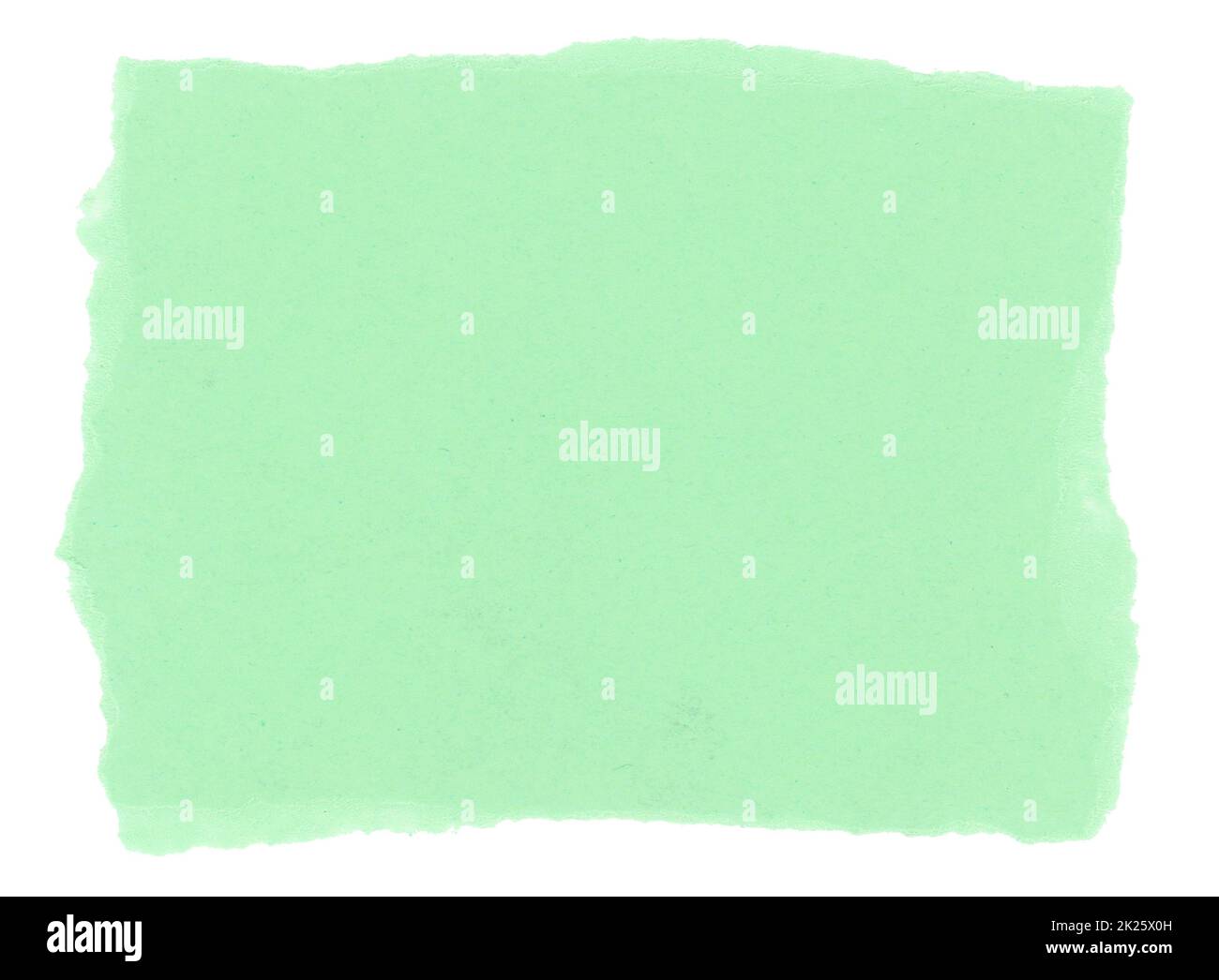 Green blank paper parchment label isolated over white stock photo alamy
