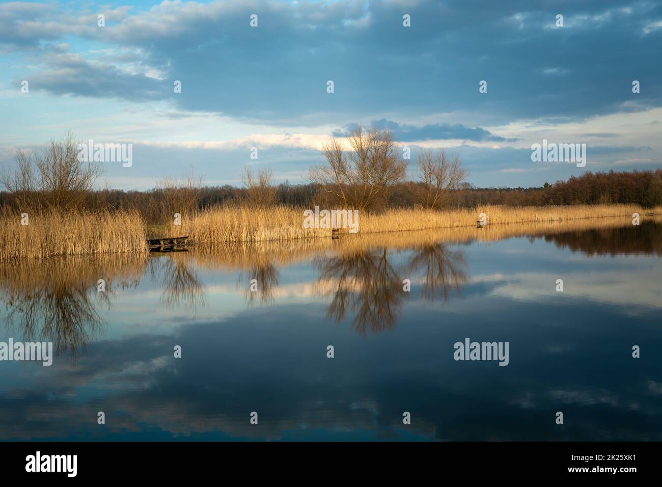 Lake shore with trees and reflections in the water Stock Photo - Alamy