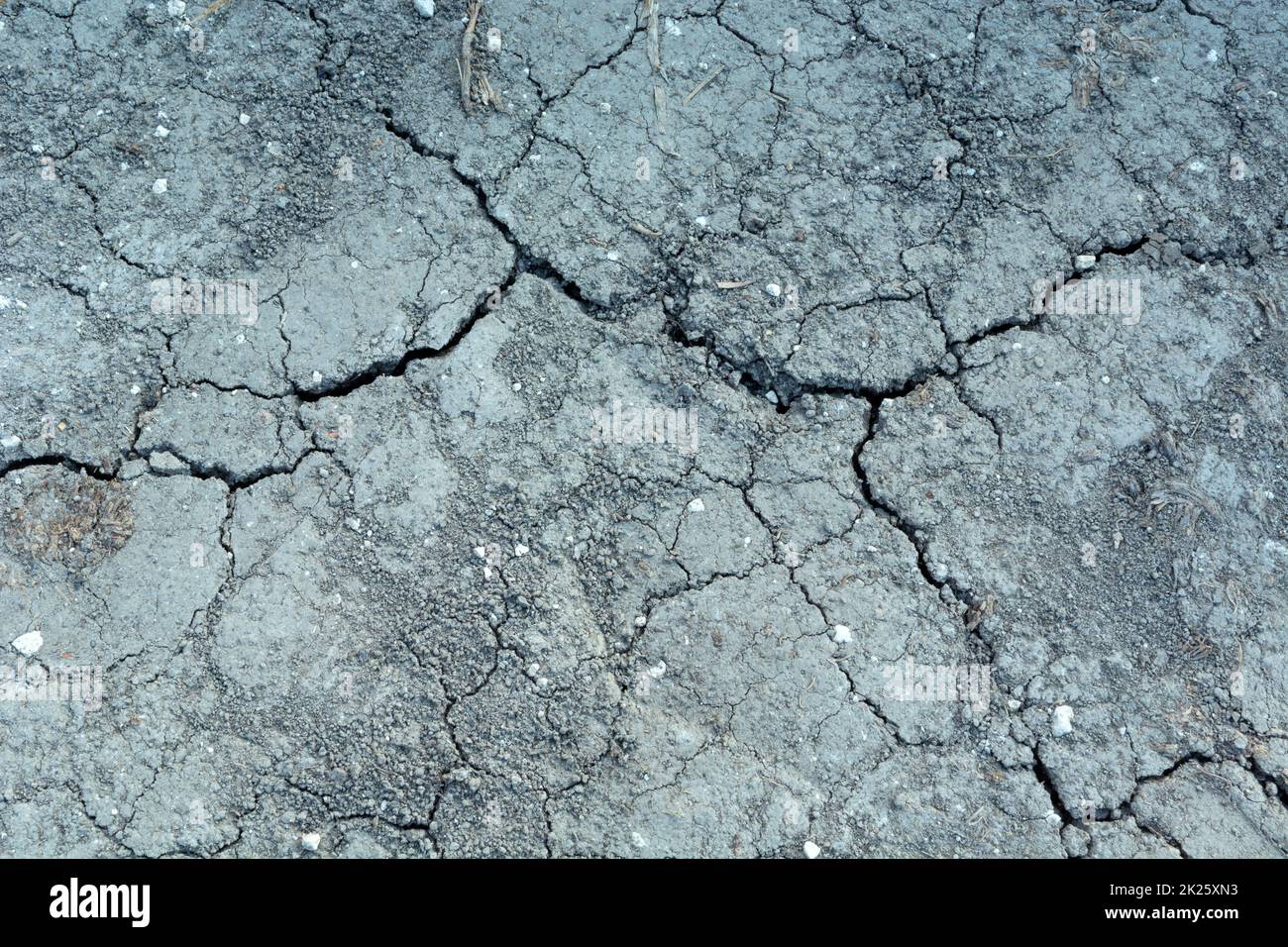 Dry and cracked gray earth, top view Stock Photo