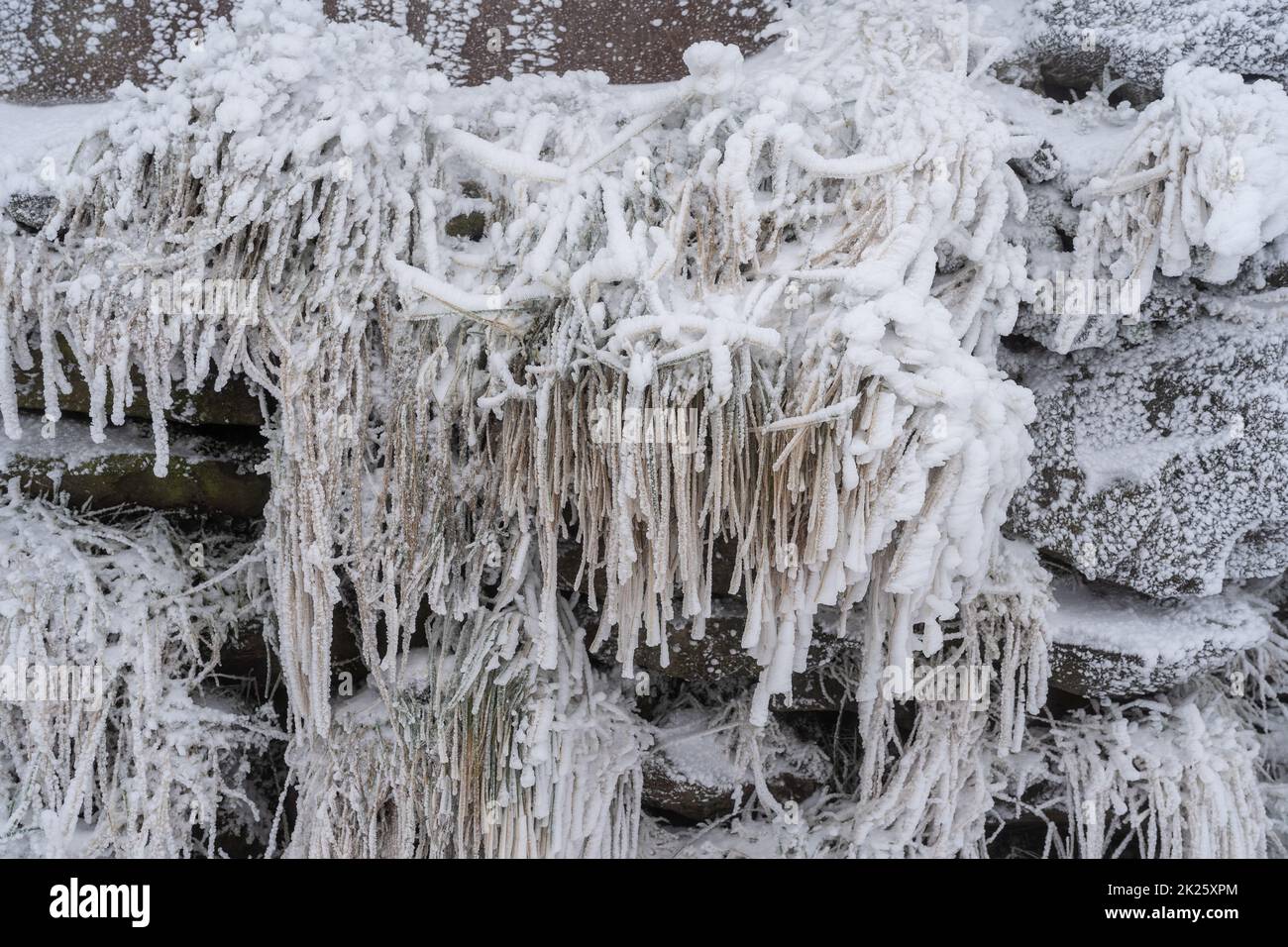 Stones and dry grass covered with ice and snow. Background. Stock Photo