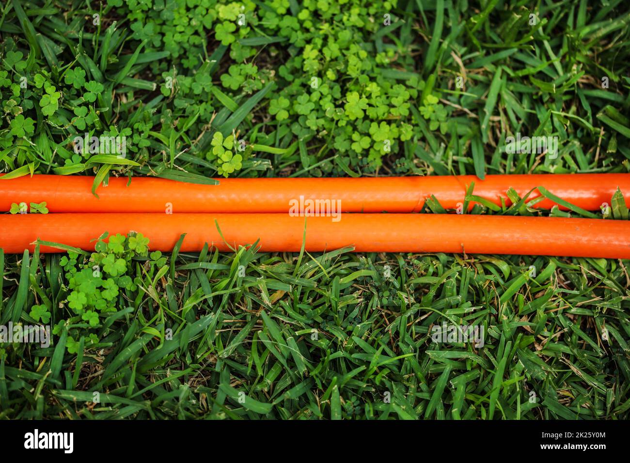 Bright orange hose (two lines) in green lawn. View from above. Abstract gardening background. Stock Photo