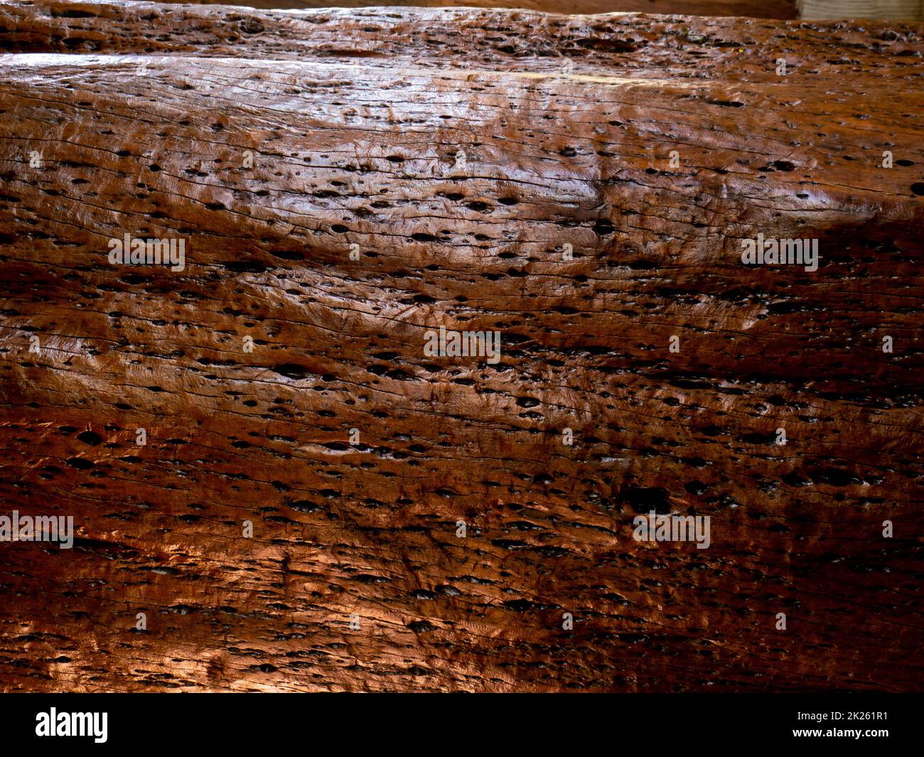 Brown wood texture. Abstract background, empty template Stock Photo