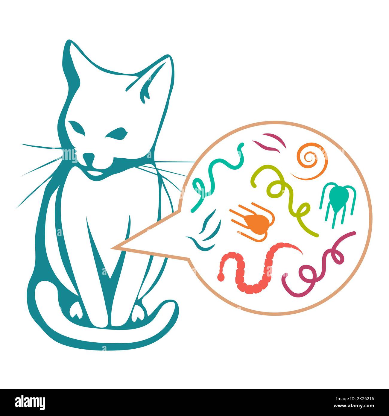 parasites in cat, Intestinal worm, animal care, vector illustration