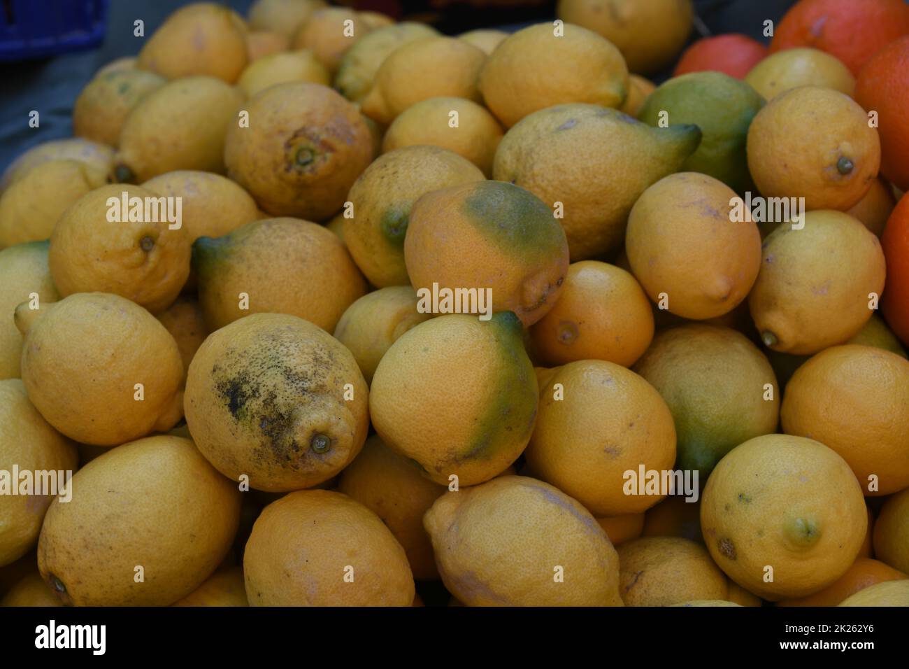 Lemons at the weekly market in La Nucia, Alicante Province, Costa Blanca, Spain Stock Photo
