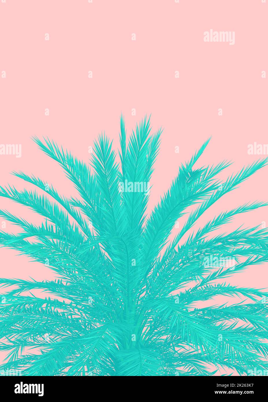 Palm tree 3d clipart hi-res stock photography and images - Alamy
