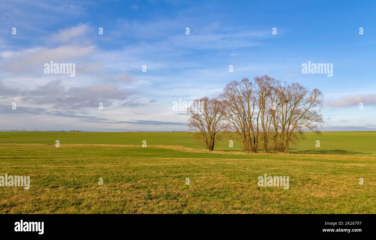 Hohenlohe at winter time Stock Photo