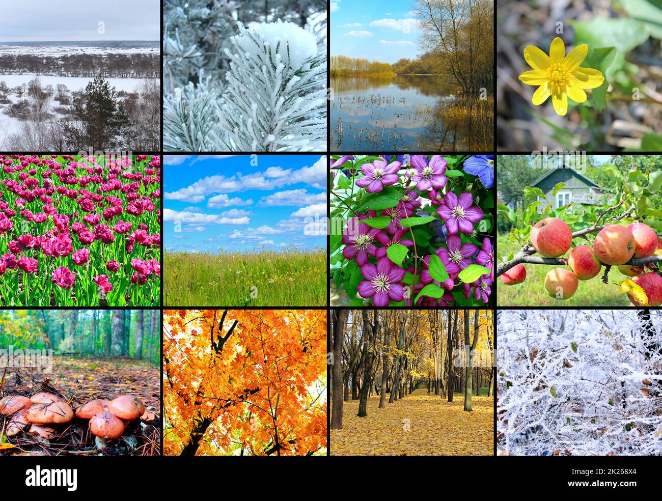calendar shedule with twelve photo of nature. Template with picture Stock Photo