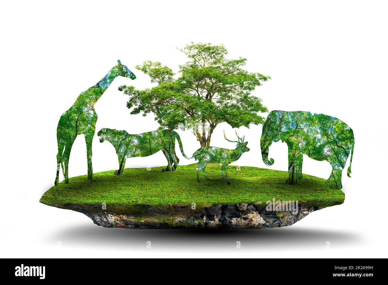 World Wildlife Day forest silhouette in the shape of a wild animal wildlife and forest conservation concept Stock Photo