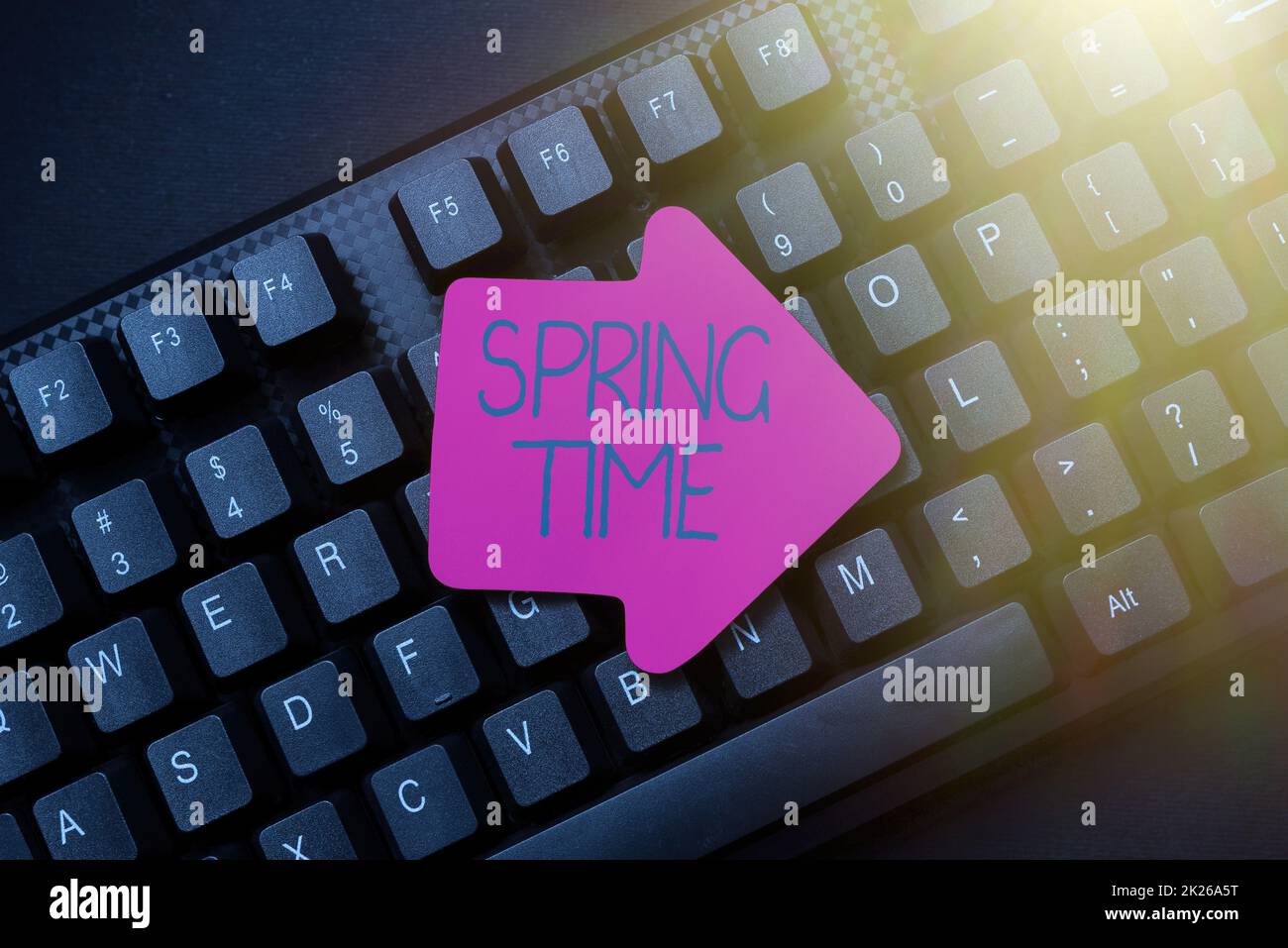 Text sign showing Spring Time. Business idea temperate season of the year identified by a revival of plants Abstract Gathering Investigation Clues Online, Presenting Internet Ideas Stock Photo