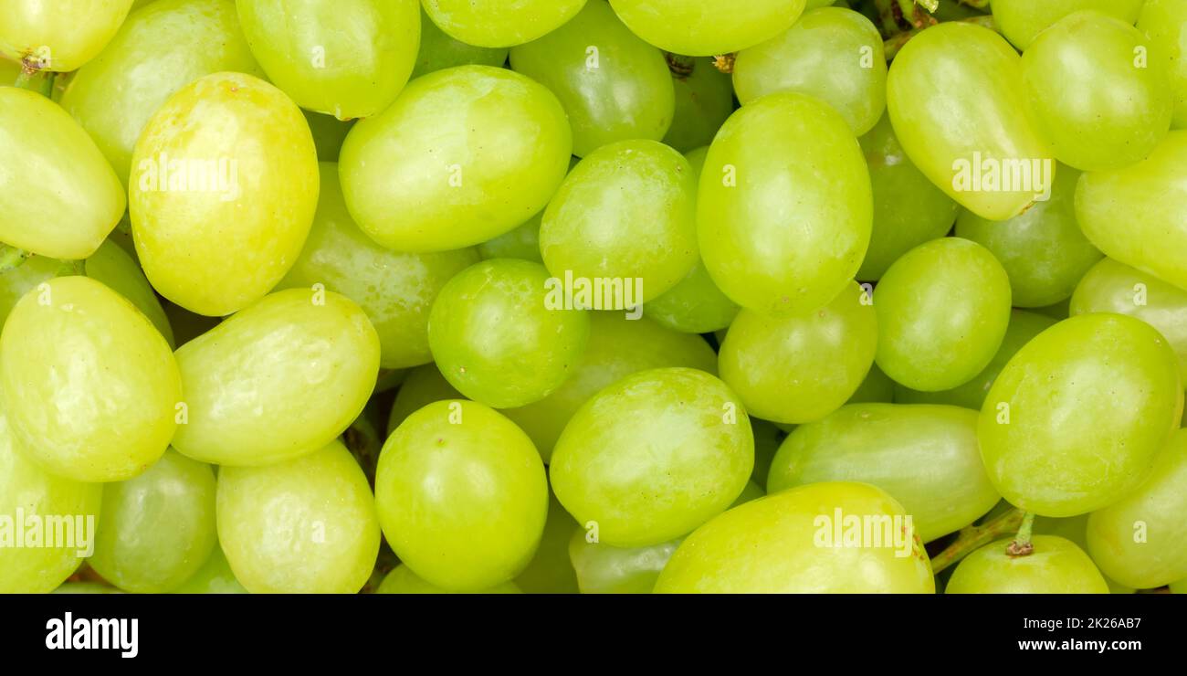 Green grapes grape fruits fruit background from above panorama Stock