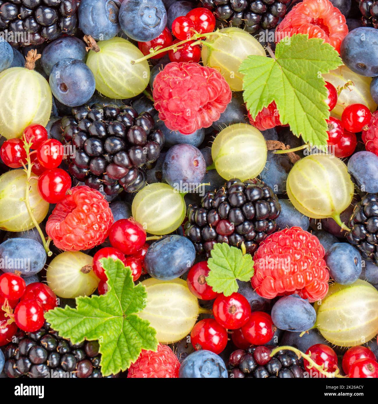 Berries fruits berry fruit strawberries strawberry blueberries blueberry from above square Stock Photo