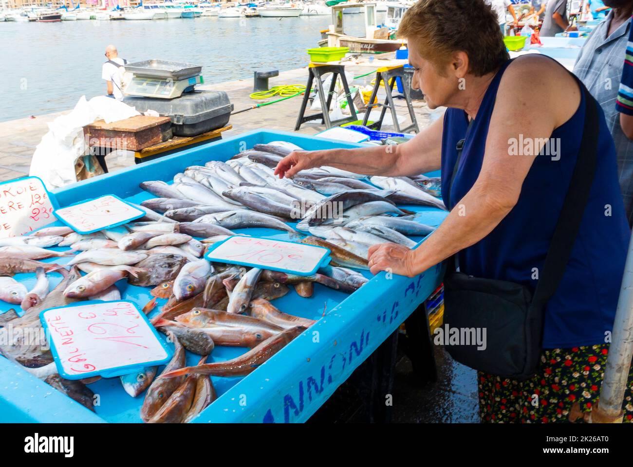 Marseille, France, Senior WOman Shopping, Selecting Fish, Local Fish Market at Old Port Stock Photo