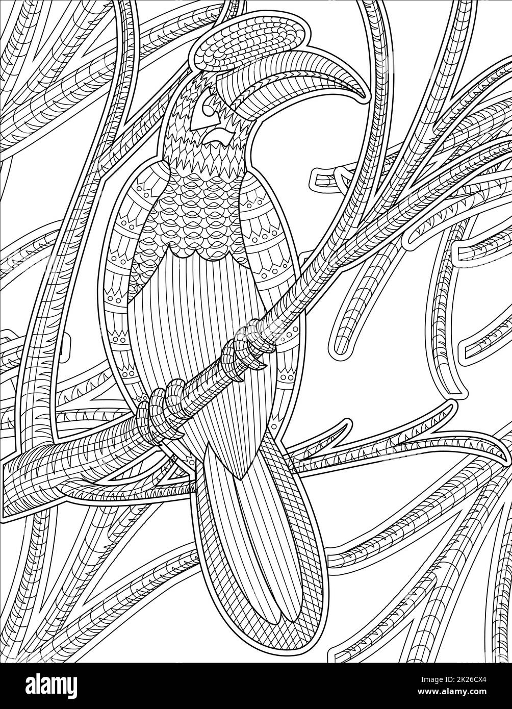 Macaw Resting On A Tree Branch With Small Leaves Colorless Line Drawing. Small Toucan Staying On Twig Coloring Book Page. Stock Photo